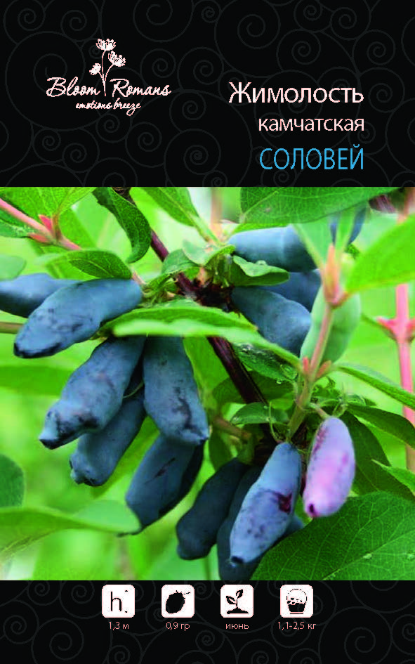 Жимолость камчатская Соловей